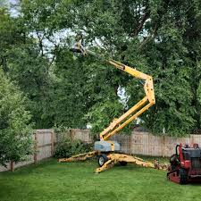 Hamlet, IN Tree Care Company